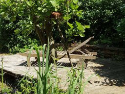 Rita offene Gartentor